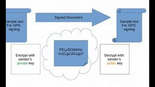 How to Do Digital Signing with GnuPG (Step-by-Step Guide) l #adobephotoshop #kali #gnupg