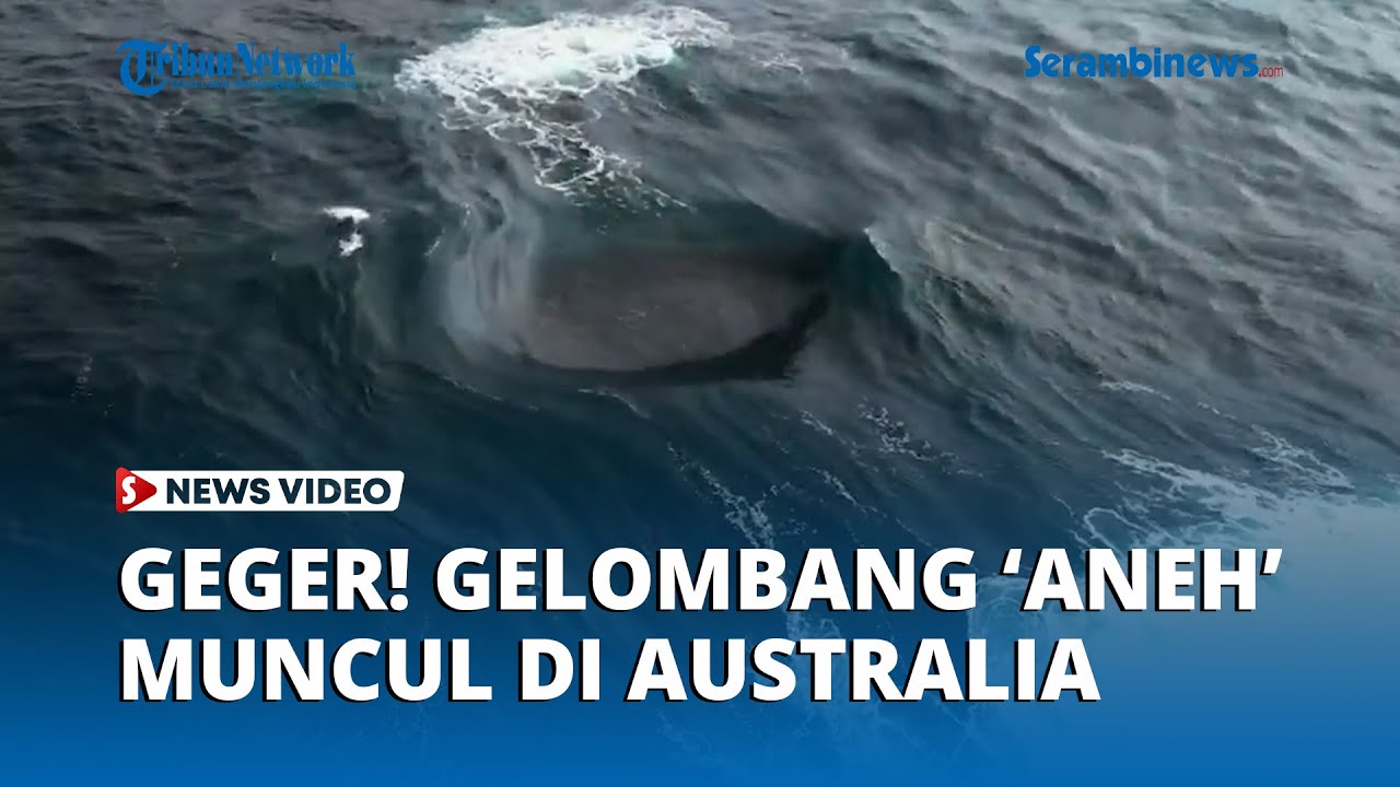 Fenomena Aneh! Gelombang 'Tak Biasa' Muncul di Tengah Laut Australia