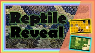 What's the reptile? I reveal game I reptiles for kids screenshot 2