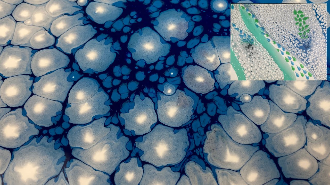Acrylic Pouring Bubbles Abstract Acrylic Pour Painting Cells With