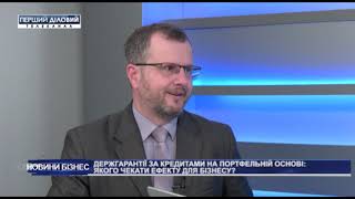 Андрей Виргинский и Илья Несходовский. Госгарантии по кредитам на портфельной основе.