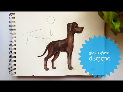 ვიდეო: როგორ დავხატოთ ძაღლი საღებავებით