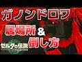 ガノンドロフの居場所までの行き方＆倒し方【ゼルダの伝説ティアーズオブザキングダム攻略】