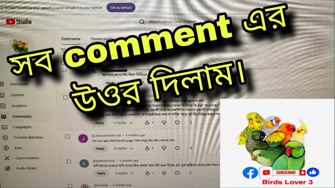Ask Birds Lover 3 || বাড়ির ছাদে পাখির খামার পদ্ধতি || কমেন্টের উত্তর | Birds Help