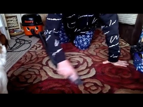 #asmr #vacuuming Pet hair #furbaby