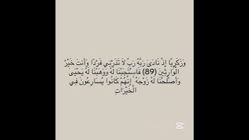 سورة الأنبياء #explore #اكسبلور #quran_kareem #quran #لايك #sabscribe #راحة_نفسية #fypシ゚viral #fyp