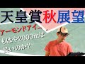 好走のサイン？アーモンドアイ、キセキ、ダノンキングリーの話です。天皇賞秋展望