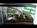 First Ever Bioactive Enclosure - Boreal Forest in a Box