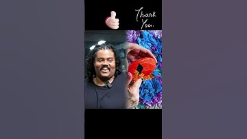 Part 70 Like, comment, subscribe! Let