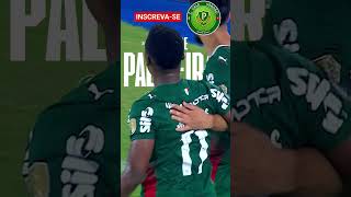 Hoje tem Palmeiras!💪 #palmeiras#futebol#libertadores#futebolbrasileiro#futbol#soccer#palestra#verdão