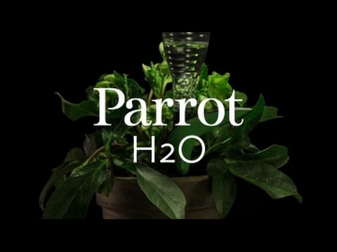 Parrot H20 - Smart Plant Sensor - CES 2015 Preview