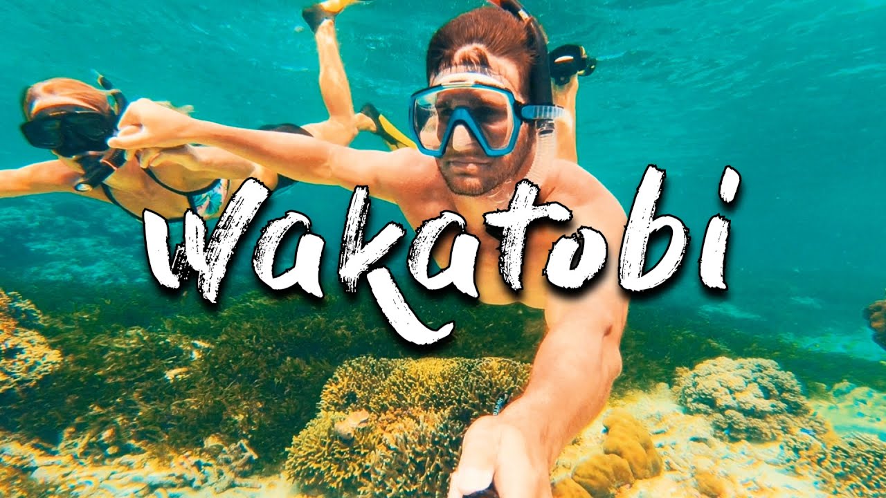 WAKATOBI WONDERFUL INDONESIA (A VISUAL JOURNEY) | SE02 EP25 