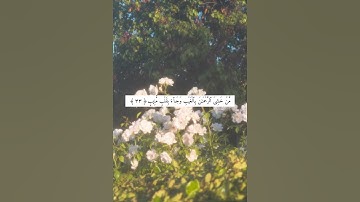 محمد اللحيدان تلاوه فى قمة الخشوع