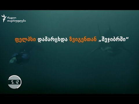 ფელპსი დამარცხდა ზვიგენთან „შეჯიბრში“