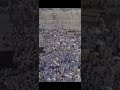Captured a Beautiful Moment in Makkah 🕋#shortsviral