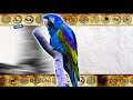 INTRO BITACORA 001