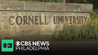 Full Cornell University gang rape investigation gets special prosecutor Guide