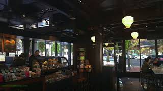 Starbucks Background Noise | ASMR | Cafe | Relaxing | Ambient Sounds