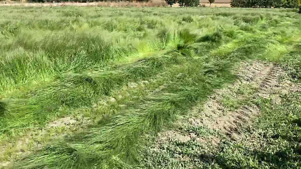 Yazotu Biçimi (07.10.2021)