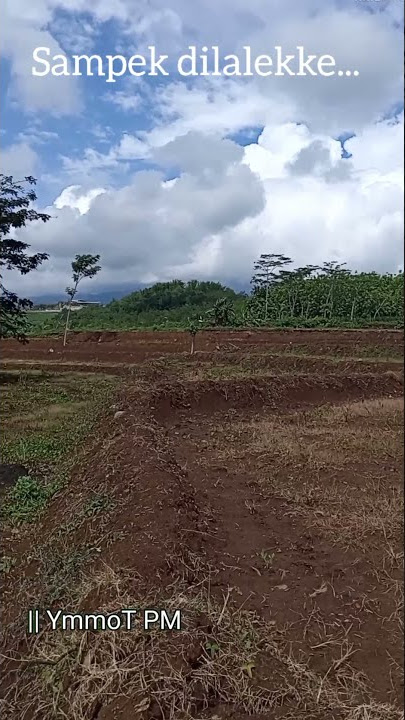 story wa 30 detik bahasa jawa || jangan sepelekan #shorts