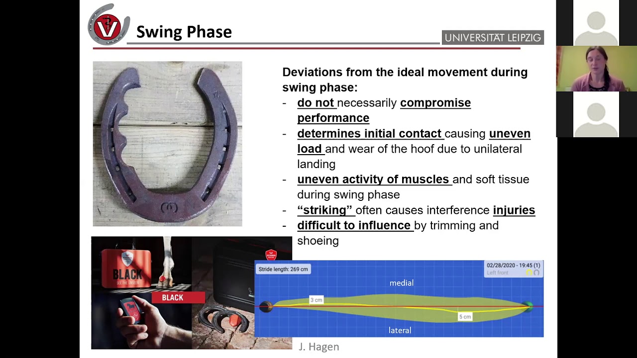 Mediolateral Balance of the Hoof Part 2 (Dr Jenny Hagen Farrier inar