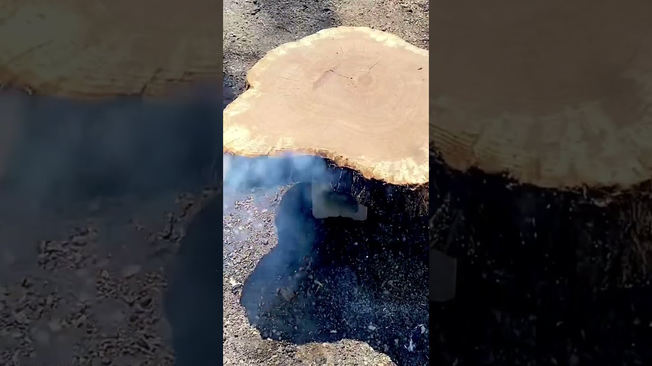 Burning a Large Oak Cookie Slab/Yaki Sugi