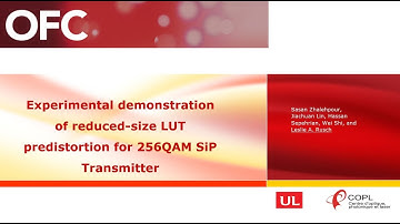 Experimental demonstration of reduced-size LUT predistortion for 256QAM SiP transmitter