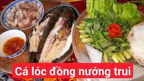 CÁ LÓC ĐỒNG NƯỚNG TRUI MÓN ĂN QUÊ NHÀ MIỀN TÂY/ T136