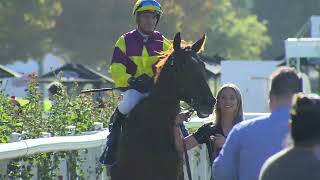 Race 6 - Ascot - 12/04/2025