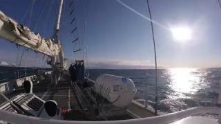 Svalbard Ski/Sail Trip - Ski The North