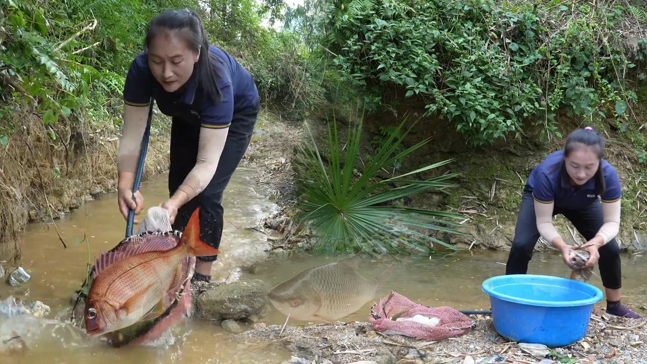 Traditional Giant Fish Harvest in Shallow Streams Sold Fresh at the Busy Central Market