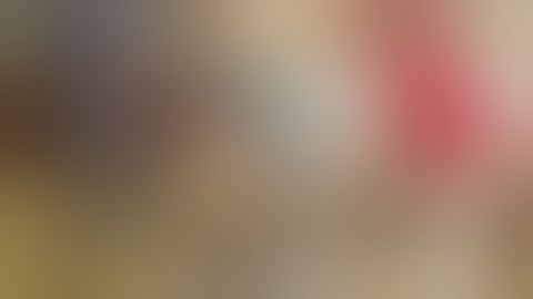 Laparoscopic Artificial Insemination in Sheep