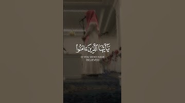 تلاوة مرئية|إن الله وملائكته يصلون على النبي يا أيها الذين آمنوا صلوا عليه وسلموا تسليما|#اسلاميات|