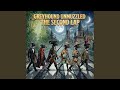Greyhound Omertà