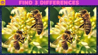【Find the Difference】 Brain Game Puzzle No.118