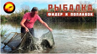 Лучшая рыбалка на фидер и поплавок / Ловля сазана осенью в Астрахани