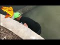 nature sounds relaxing music#cast #fishing #long #fish #net