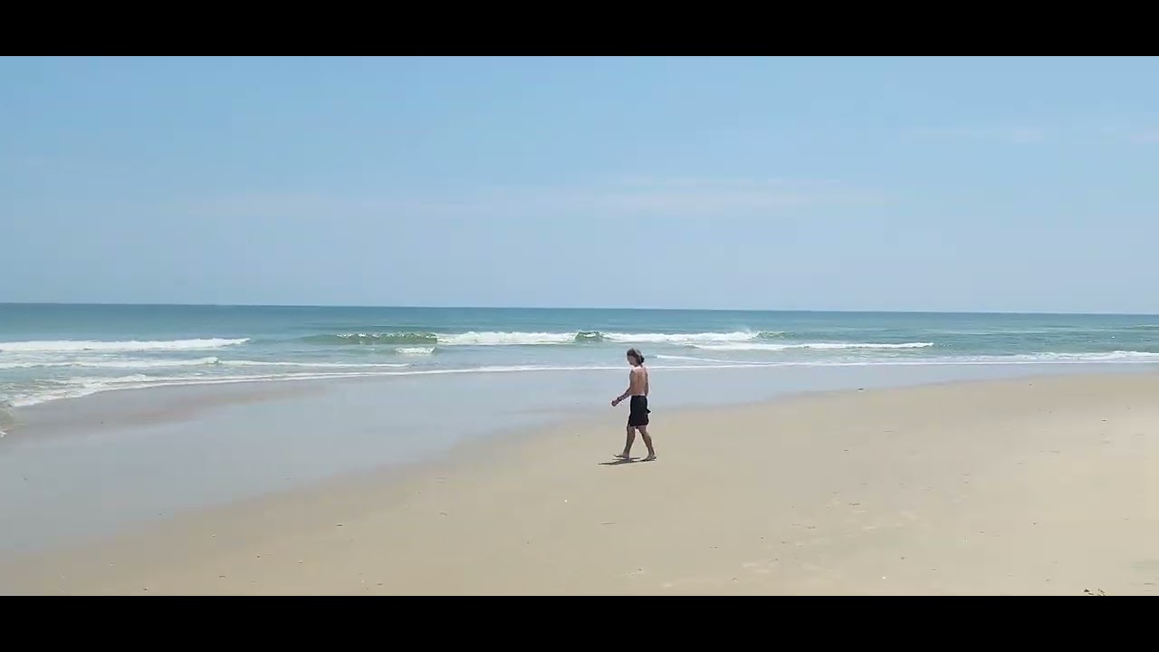 Atlantic Ocean beach and wetlands(అట్లాంటిక్ మహాసముద్రం బీచ్ మరియు తడి భూములు)