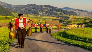 Alpfahrten Alp Soll Appenzell Schweiz Teil 1 | Gonten - Hauptgasse Appenzell - Steinegg - Brülisau