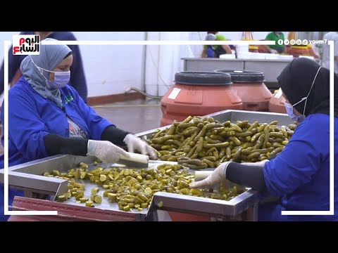 قرية شبراتنا هنا هتدوق أحلى مخلل فى حياتك