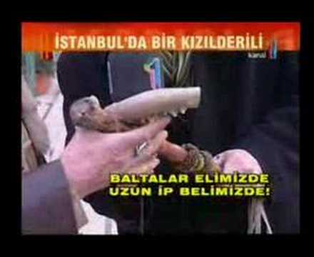 REİS OTURAN BOĞA KANAL1 EKRANINDA