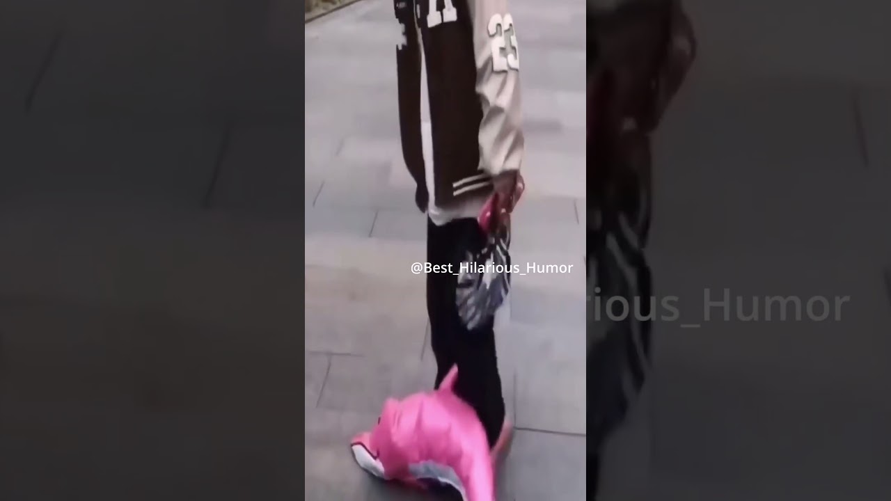 fun overloaded with unconditional comedy 