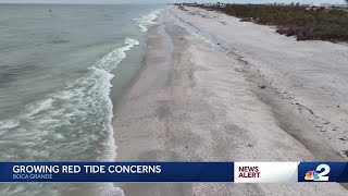 Red tide concerns growing on Boca Grande