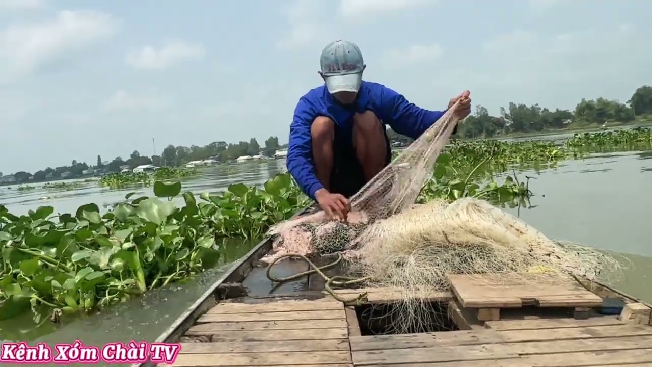 Tiếp Tục Chúng Bầy Cá Cóc Nữa Rồi #fishing #mientay #xomchaitv 