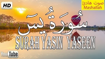 سورة يس  ياسين راحة لا توصف  القارئ  : حذيفة الكعيد