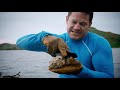 Stonefish  the worlds most venomous fish