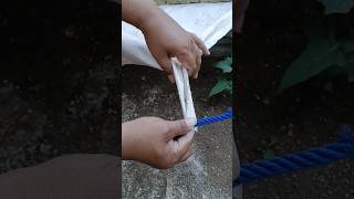 “The Easiest & Strongest Tarp Corner Knot!” #knot #shorts #diy
