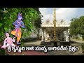 శ్రీ కృష్ణుని కాలి మువ్వ జారిపడిన క్షేత్రం | Movva Venu Gopala Swamy,Andhrapradesh | Eyecon facts