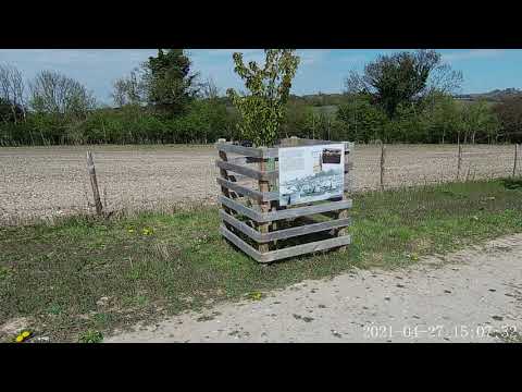 Apeman A100 Action Camera Testing - Gentle walk around Langley Vale Centenary Woodland