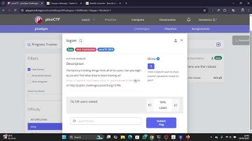 Logon | Web Exploitation | PicoCTF Challange